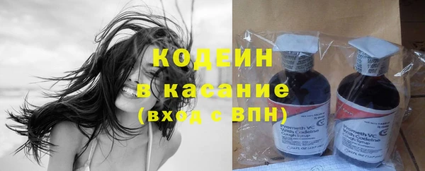 гашик Надым