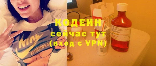 крисы Анжеро-Судженск