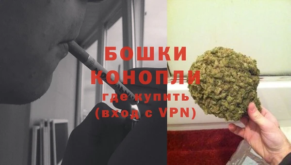 гашик Надым