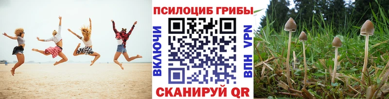 Псилоцибиновые грибы Psilocybe  Салаир 
